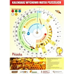 Kalendarz do wychowu matek