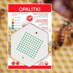 Opalitki polskie zielone